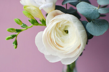 Delicate bouquet of delicate pink ranunculus flower and white freesia with eucalyptus sprigs on a pink background