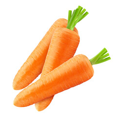 carrot isolated on white background, clipping path, full depth of field
