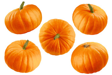 Pumpkin isolated on white background, clipping path, full depth of field