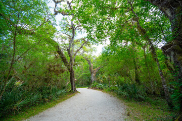 Fototapeta na wymiar The landscape of Hillsborough river and Lettuce park at Tampa, Florida 