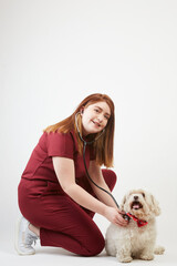 smiling young female veterinarian in a squatting position using her stethoscope on a mature dog on white background