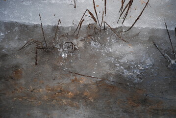 A deep puddle in the snow with melted water. A wide and deep puddle formed in the snow. Drops of water drip into the puddle, creating waves on its surface. Last year's grass can be seen at the bottom 