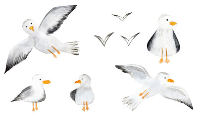 Collection of watercolor cute seagulls. For decor and design. 