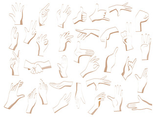 Flat hand gestures. Flat hands in different positions on a white background. Pointing hands, gesturing communication language, palm gesture designation. Vector illustration.