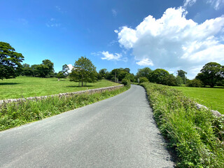 Fototapeta na wymiar View along, Priest Bank Road, with sloping fields, dry stone walls, and trees near, Kildwick, Keighley, UK