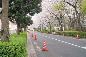 大崎付近