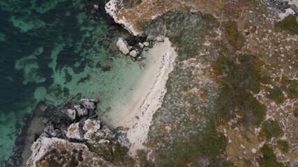 aerial top down view of deserted bay with turquoise ocean water 2 sea lions in WA