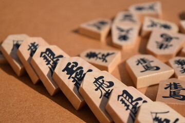 ドミノ倒し 将棋倒し