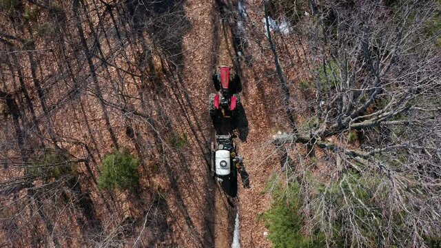 Red Tractor Driving and Pulling Wagon Down Trails Collecting Sap From Maple Trees For Sugar Shack in Quebec Canada. Birds Eye View Drone Shot.