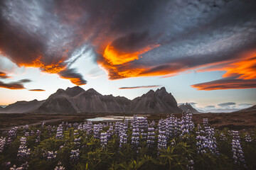 Islandia - Iceland  © jacek swiercz