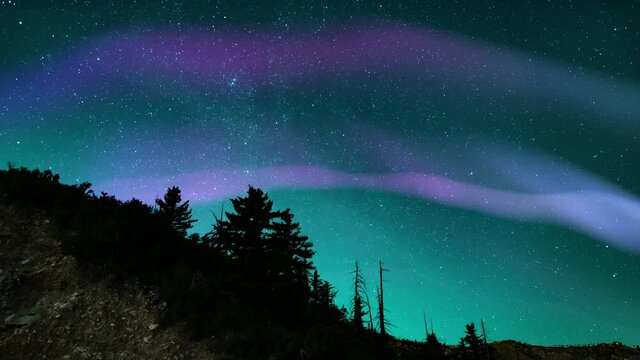Northern Lights Purple Arch Loop Winter Mountain Forest