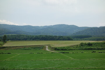 北海道の田舎の田んぼの一年
