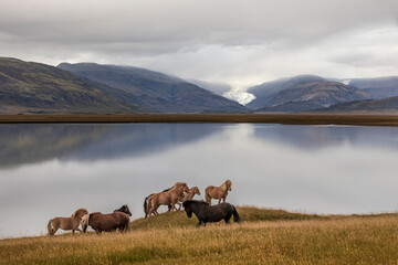 Islandia - Iceland  © jacek swiercz