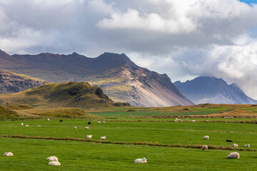 Islandia - Iceland  © jacek swiercz