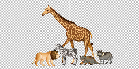 Group of wild african animal on transparent background