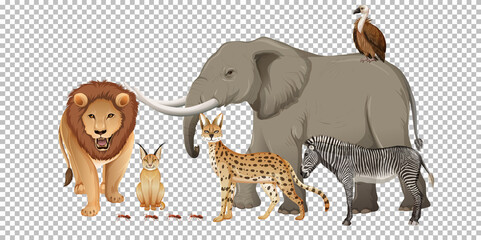 Group of wild african animal on transparent background