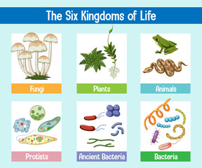 Science poster of six kingdoms of life