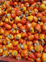 Cajus maduros colhidos à venda em um mercado