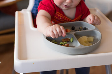 Baby led weaning: a young toddler eating a meal from a divided silicone plate (fruit, veggies, soy beans)