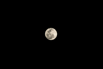 Noche de luna llena