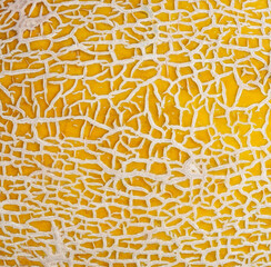 Close up of melon skin in full frame format