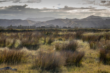 Young Nick’s Head, Te Kuri, or Te Kuri a Pawa, Gisborne district, New Zealand 