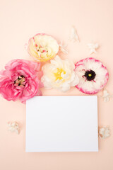 Floral flat lay with fresh ranunculus flowers on blush background