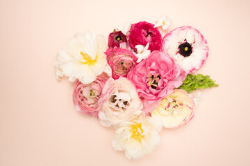 Obraz na płótnie Canvas Beautiful fresh ranunculus flower flat lay on blush background