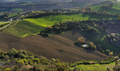 Verdi campi coltivati nelle valli delle colline dell’Appennino marchigiano