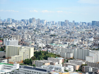 Obraz premium ランドマークプラザ超高層ビルからの東京三軒茶屋付近、俯瞰の眺め