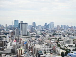 Fototapeta na wymiar ランドマークプラザ超高層ビルからの東京三軒茶屋付近、俯瞰の眺め