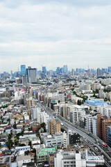 Fototapeta na wymiar ランドマークプラザ超高層ビルからの東京三軒茶屋付近、俯瞰の眺め