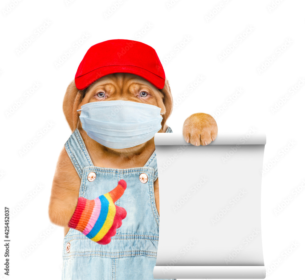 Aufkleber puppy wearing medical protective mask, red cap and overalls holds empty list and shows thumbs up ges
