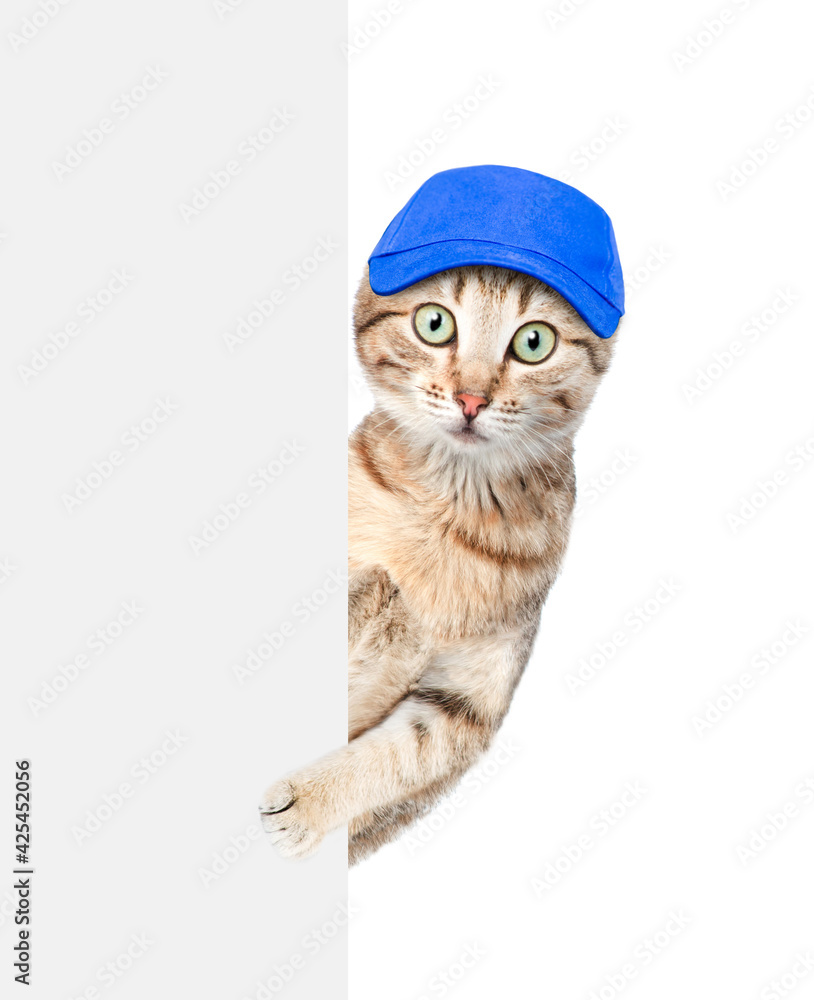 Aufkleber cat wearing a blue cap looks from behind empty white banner. isolated on white background