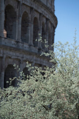 Obraz premium Colosseum of Rome in Italy. High quality photo