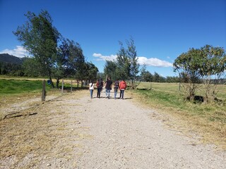 caminando con amigos