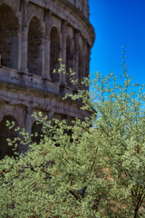 Obraz premium Colosseum of Rome in Italy. High quality photo