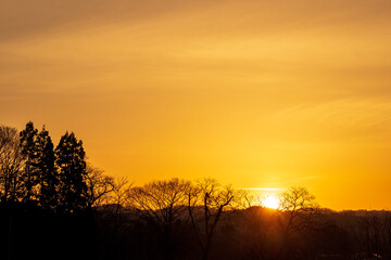 山に沈む夕日　夕焼け　太陽　空　木のシルエット