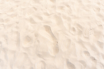 Sand texture background. Top view