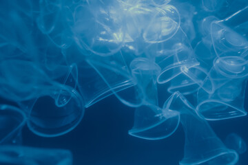 Plastic is the cause of global warming. A lot of plastic is under water. Save earth save wold save live concept.