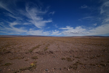 plowed field in the morning