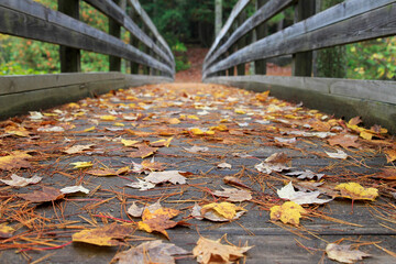 Colorful Fall Leaves on Wooden Foot Bridge in Dave's Falls Park, Amberg Wisconsin