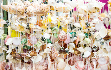 seashell mobile hangking with rope for decor