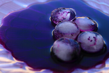 abstract image consisting of a purple background and pieces of ice with dark spots