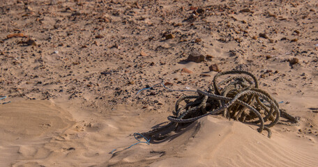 Discarded rope on a dry sandy patch of beach