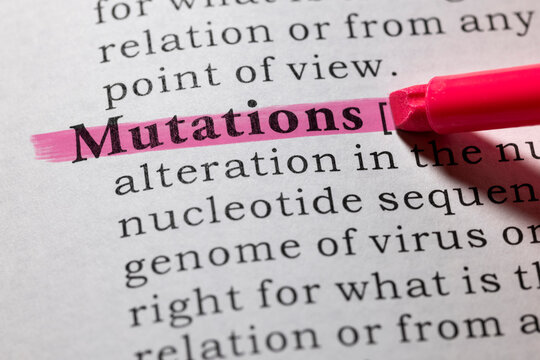 definition of mutations