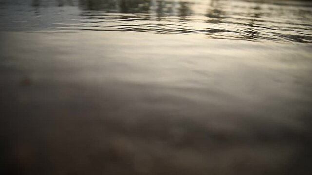 Movimiento de rio fluyendo con movimiento de rama sobre el agua