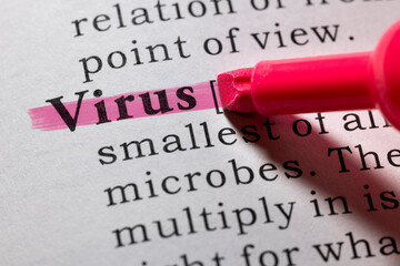 Obraz premium definition of virus