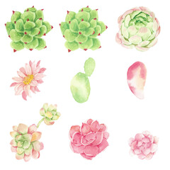 watercolor cactus and succulent elements collection isolated on white background