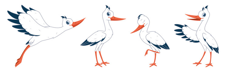 Cartoon set of storks in different poses. Cartoon vector illustration